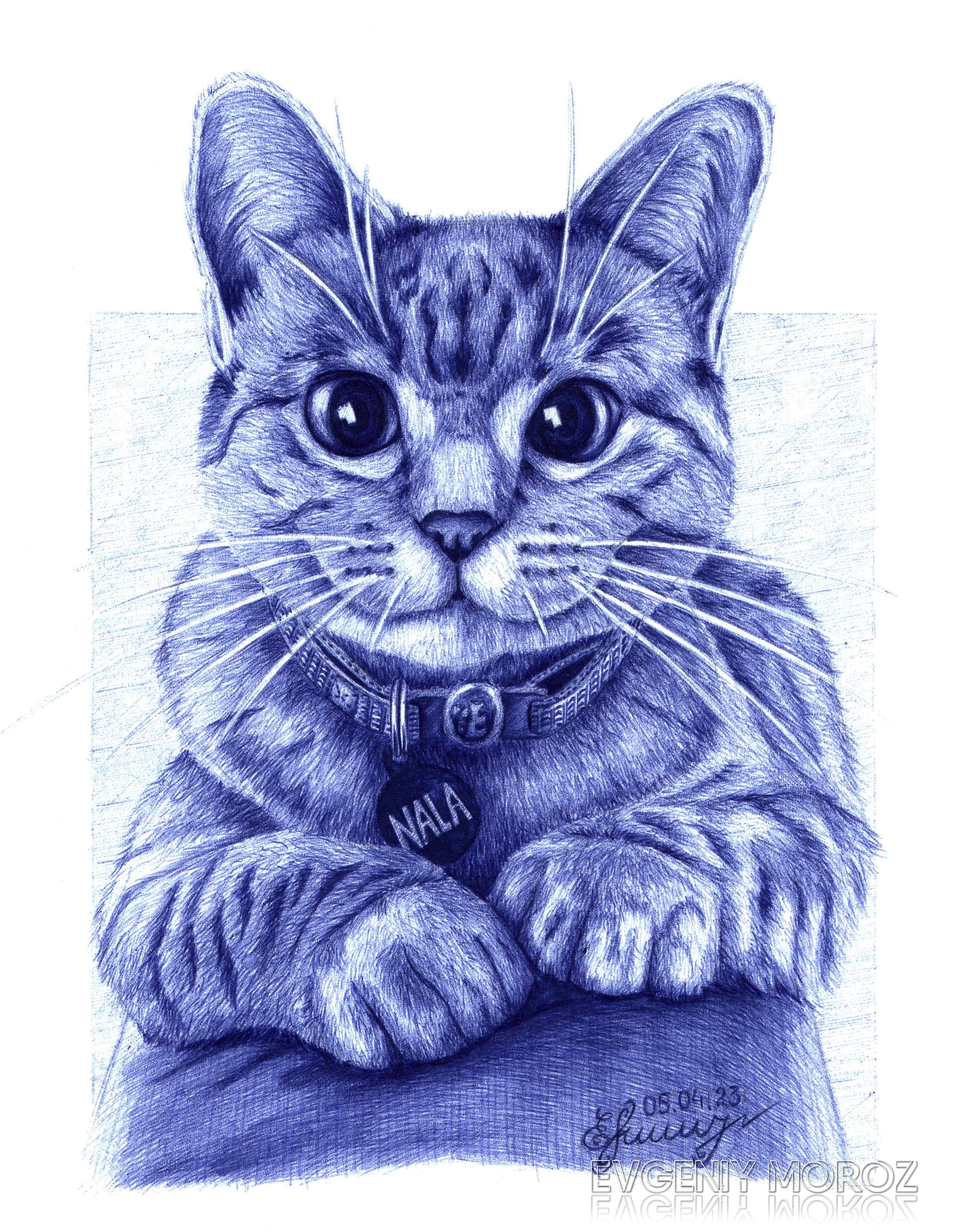 Ball Pen Blue Pen Painting Buy