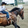 Cowgirl II