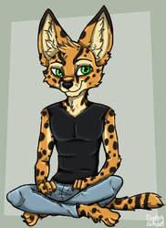 Serval Simon