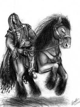 Warrior Horse