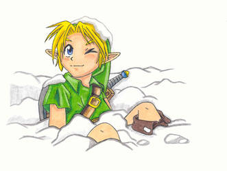 Link in the snow