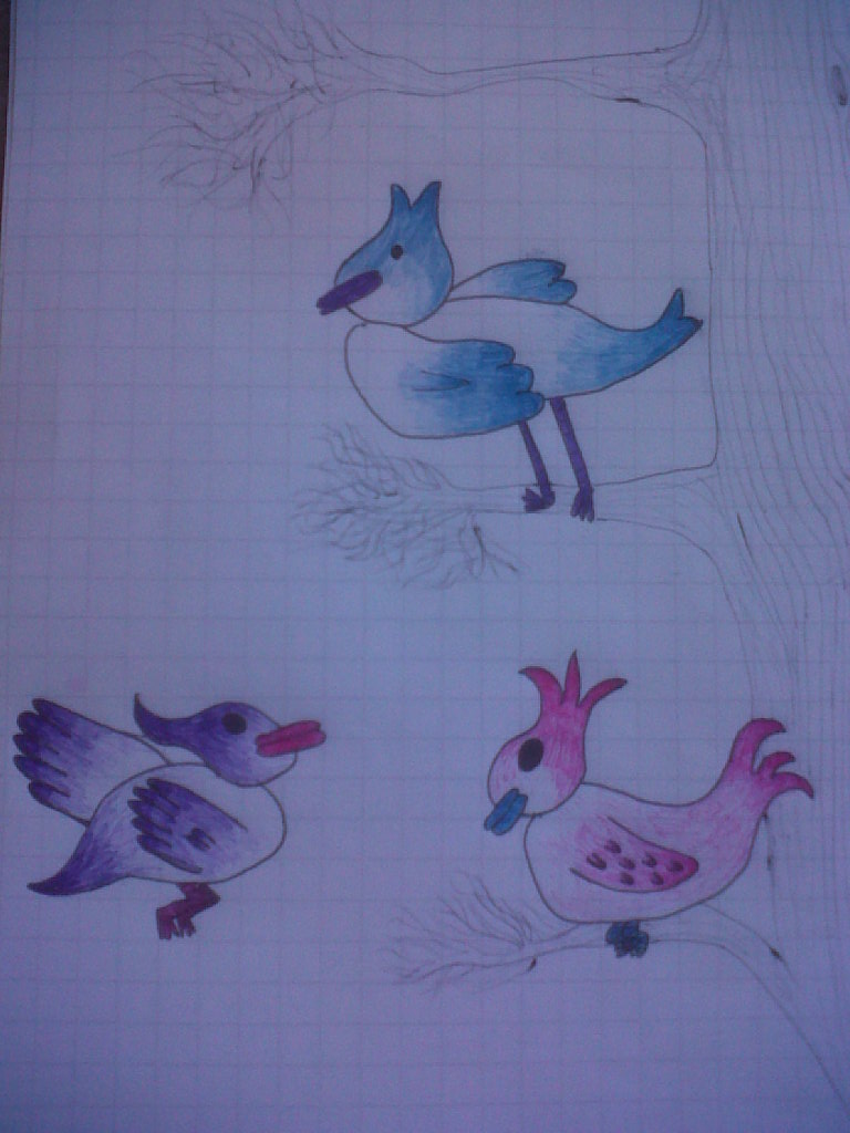 Birds of Boredom