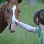 in a field with a horse that i don't know