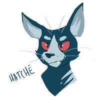 Hatche [My adopt]