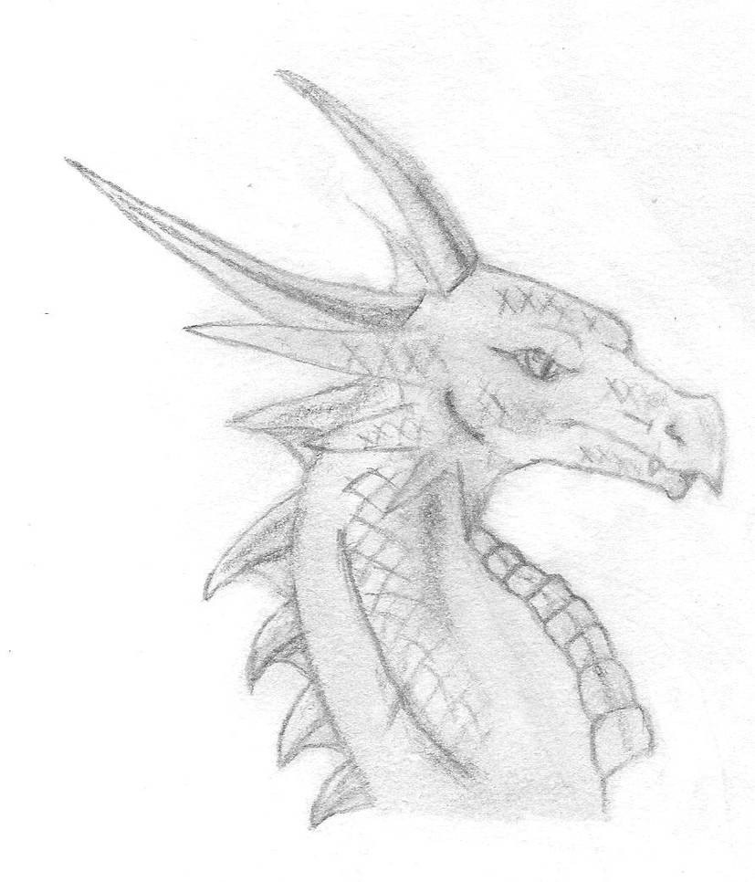 Dragon head - side view by shadow-tiger25 on DeviantArt