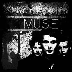 Muse Background