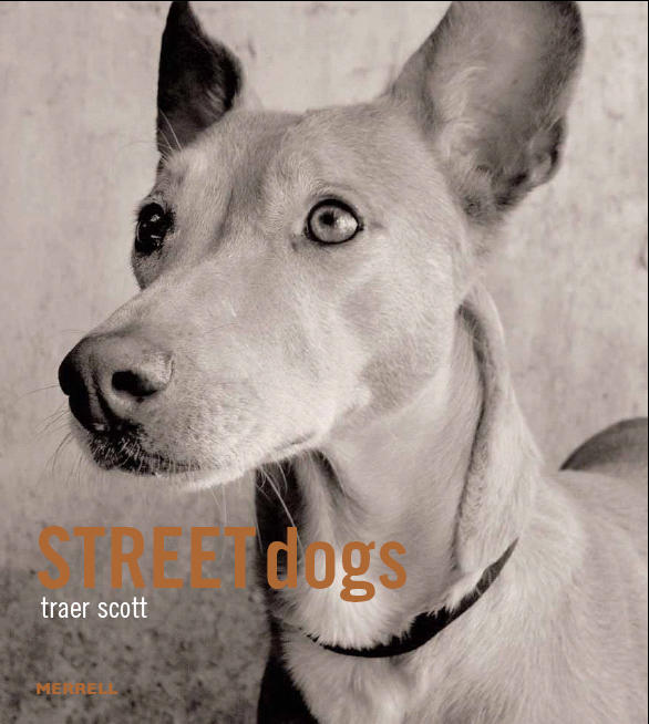 Street Dogs