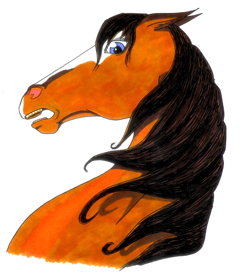 Rearing Horse by Tsukassa05 on DeviantArt