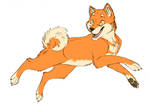 Shiba Inu by anelalani
