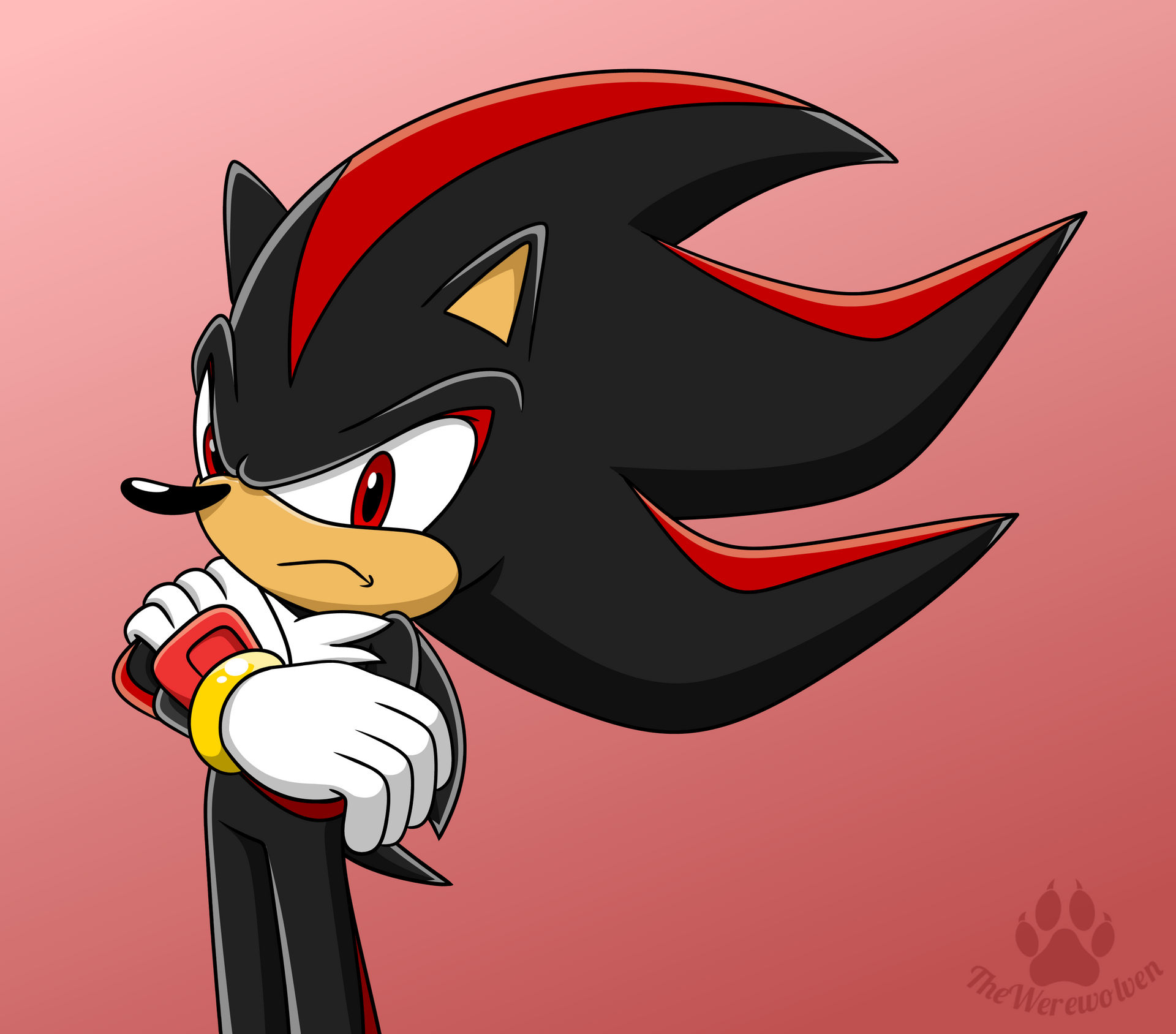 Why Is Shadow Angry? by TheWerewolven on DeviantArt