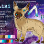 Lisi reference