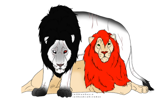 Collab with DoubleDivided