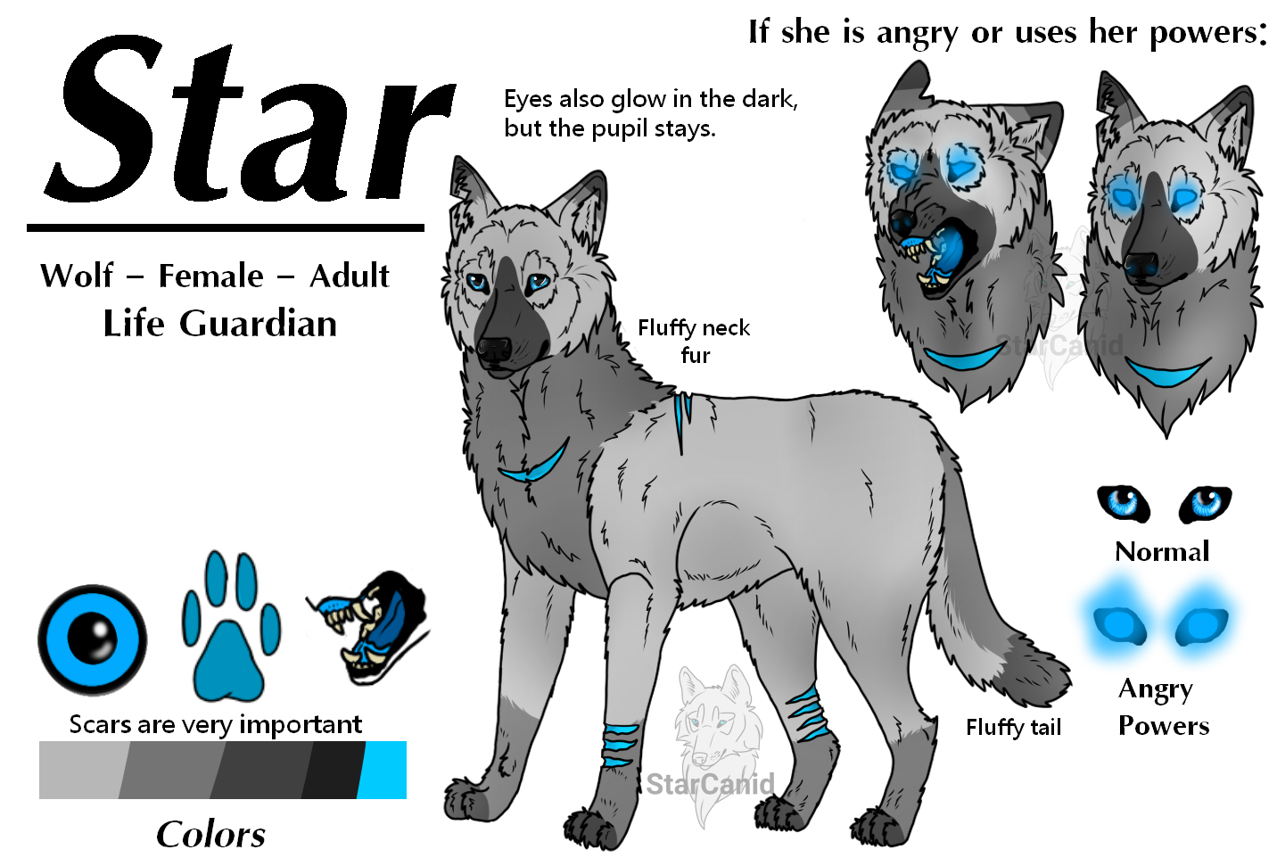 Star Reference Sheet (2016)