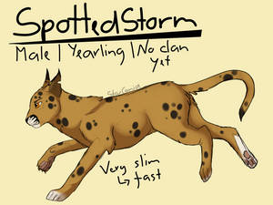 Spottedstorm by StarCanid Spottedstorm by StarCanid