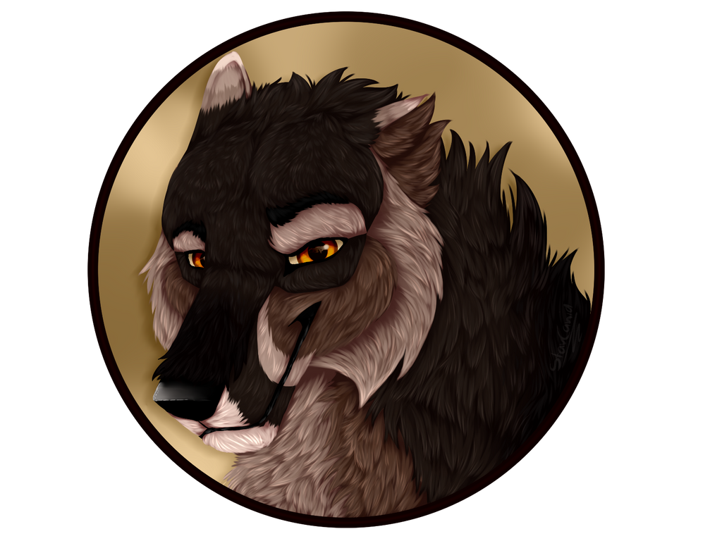 Tracker by StarCanid Tracker by StarCanid