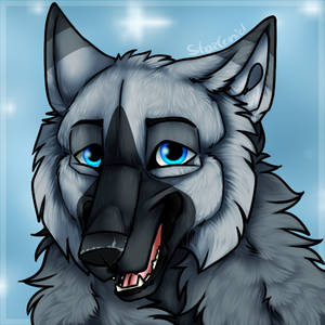 StarCanid ID 2017 by StarCanid StarCanid ID 2017 by StarCanid