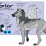 Star's 2021 Reference Sheet