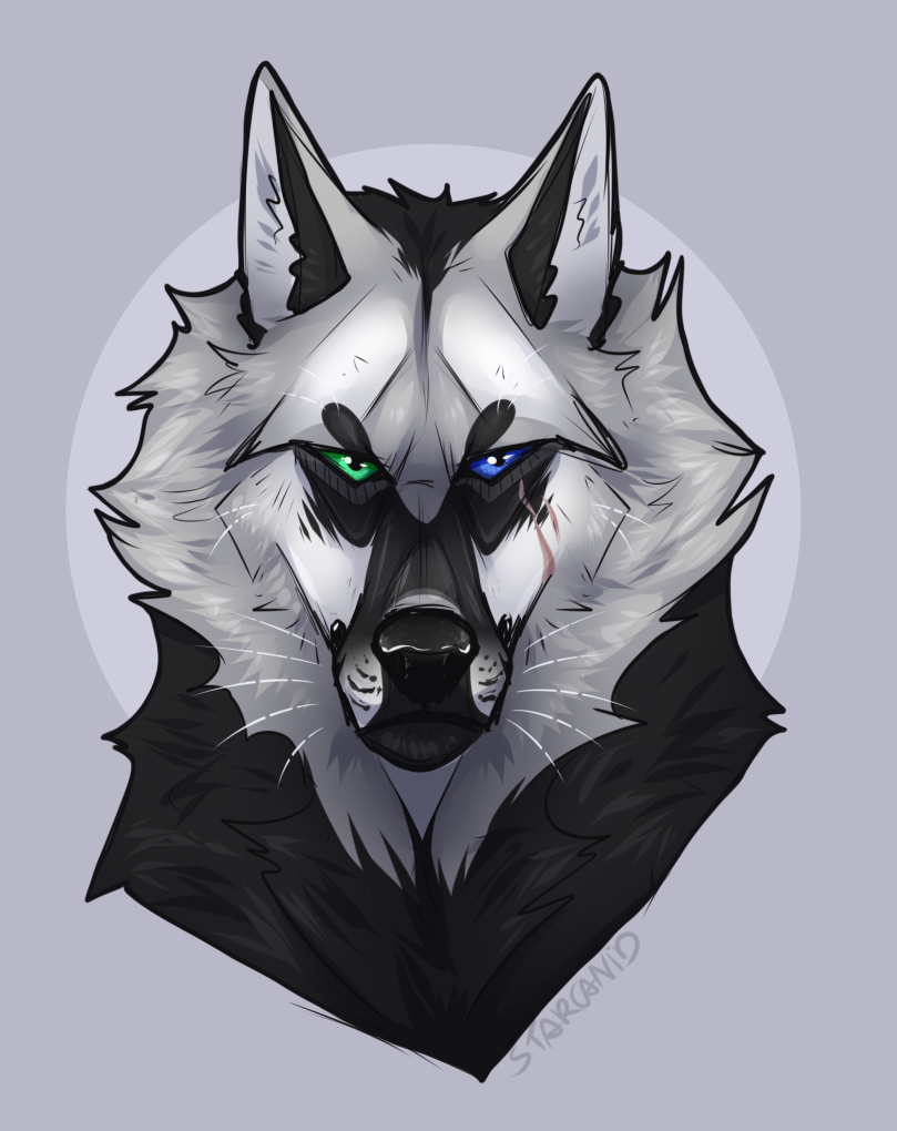#datutorialwolf