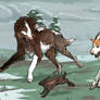 T | Rabbit Hunt