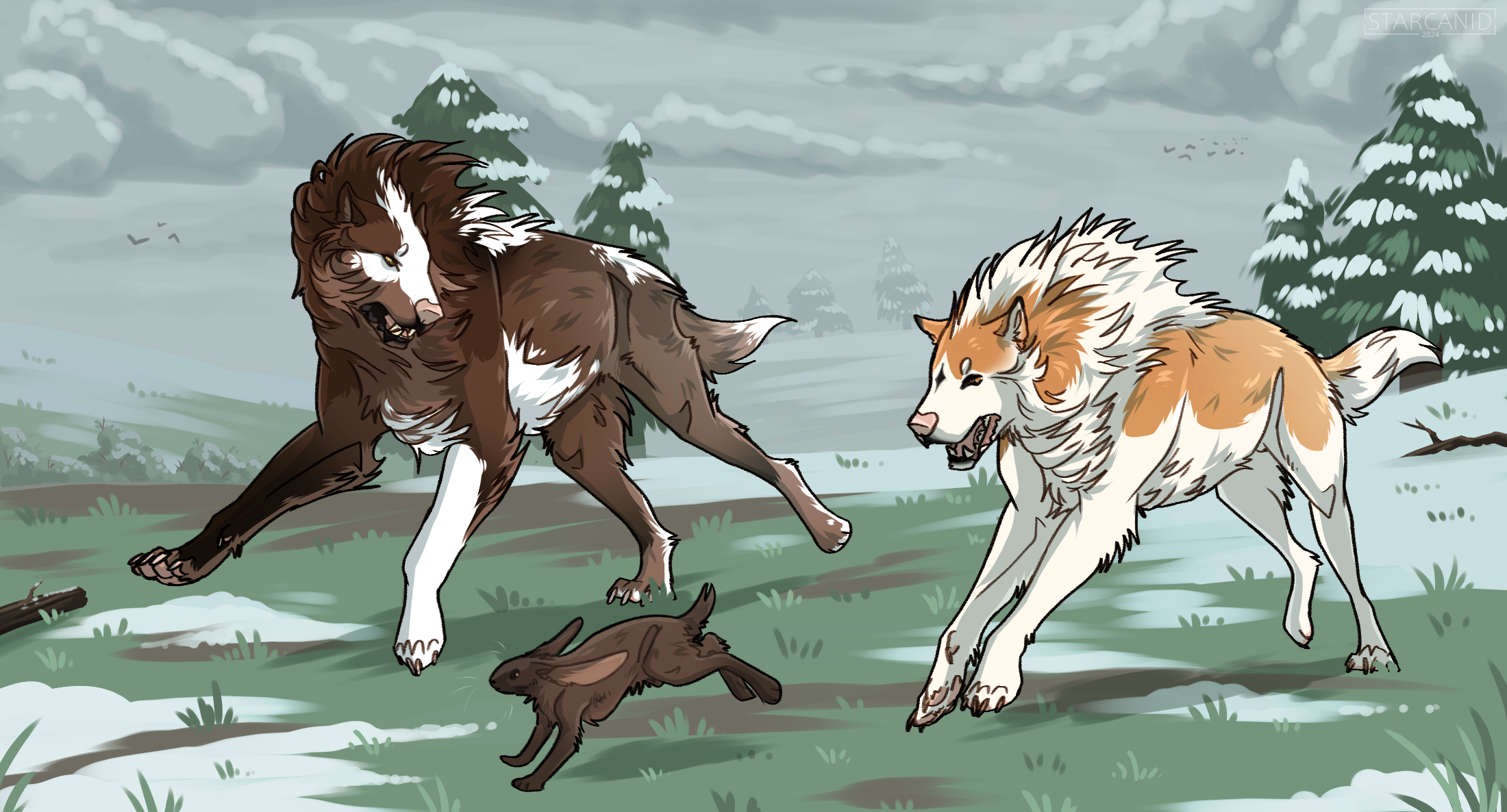 T | Rabbit Hunt