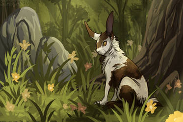 H | Quiet Forest