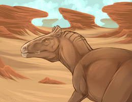 PA | Stroll under the Sun