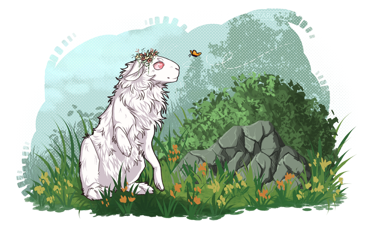 HS | Precious
