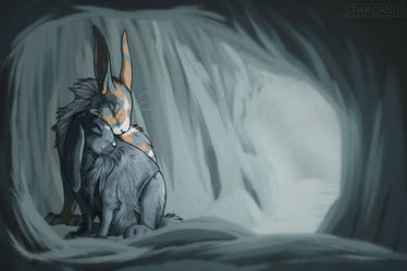 H | Warmth in the Frost