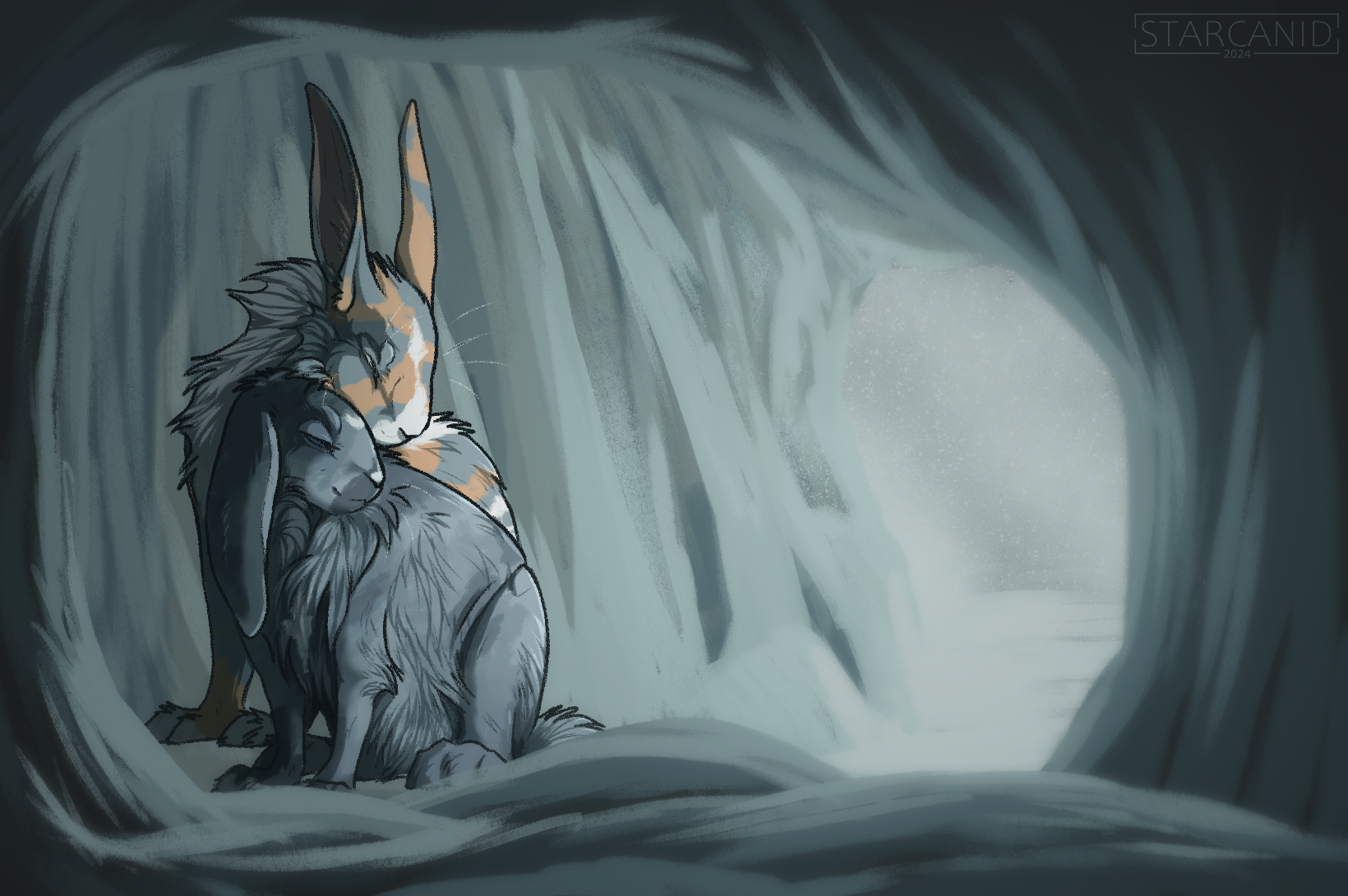 H | Warmth in the Frost