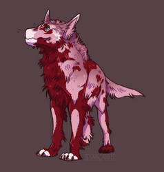 WoR | 2/2 DarkDragonBlood