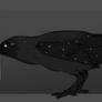 Crow of Stars