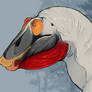 Dalmatian Irritator