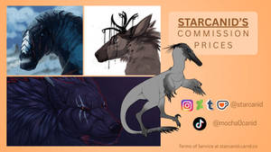 2026 Commission Sheet