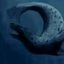 Leopard seal