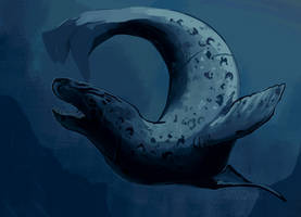 Leopard seal