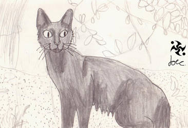 Black Cat doodle.