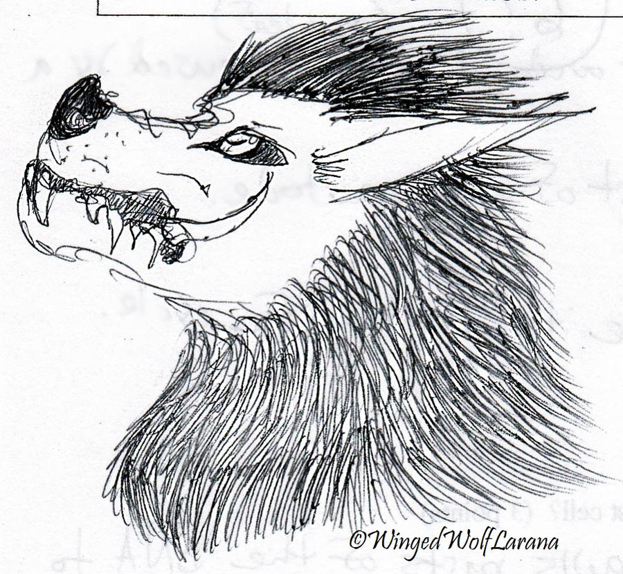 Random Beast by WingedWolfLarana on DeviantArt