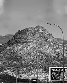 #0114 A Giant on the Side of the Road