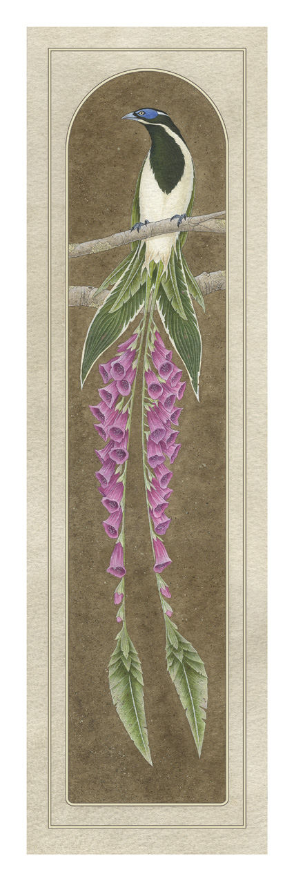 Foxglove by Powelly74