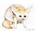Fennec Fox by Binnus