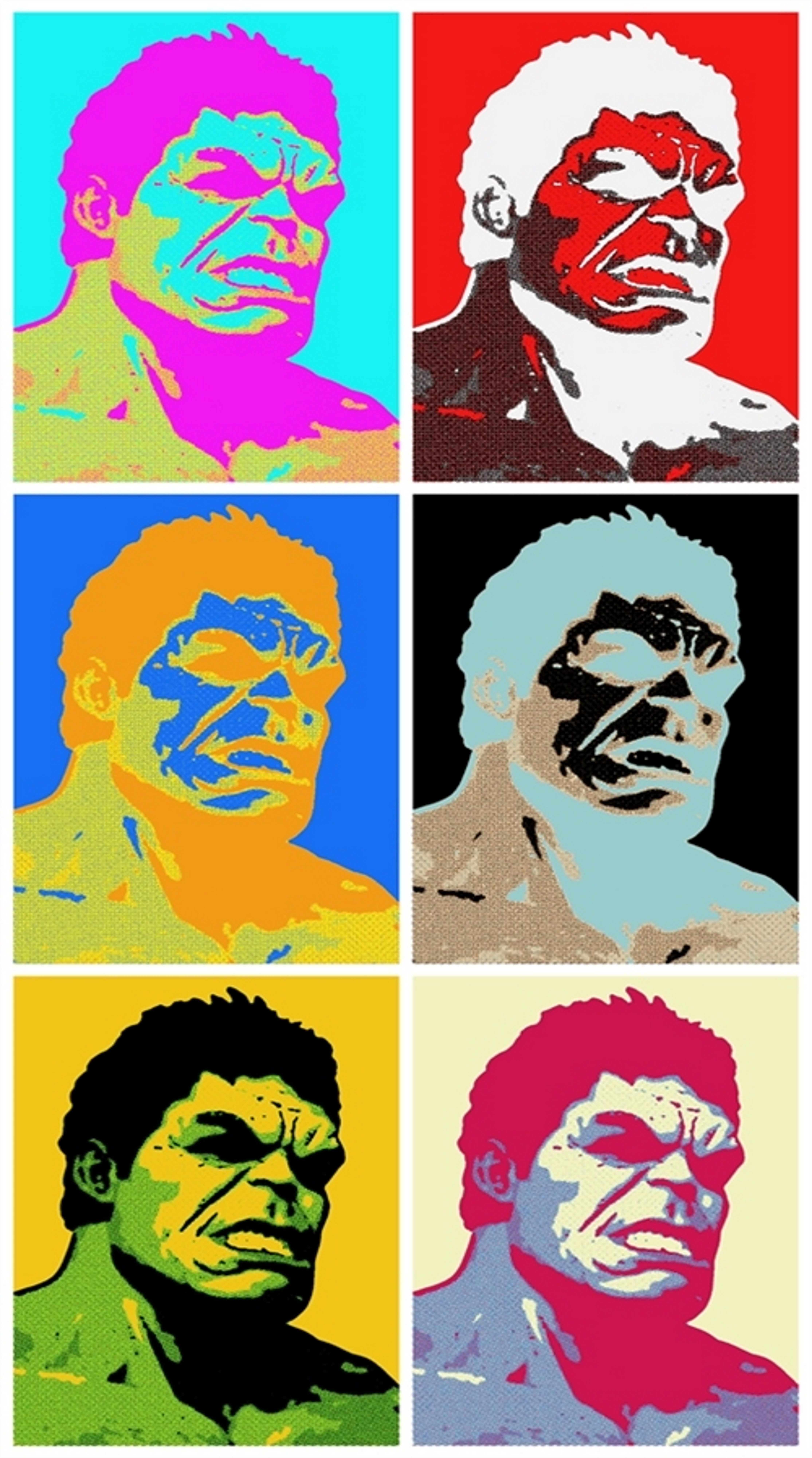 The Hulk Six Panel Pop Art