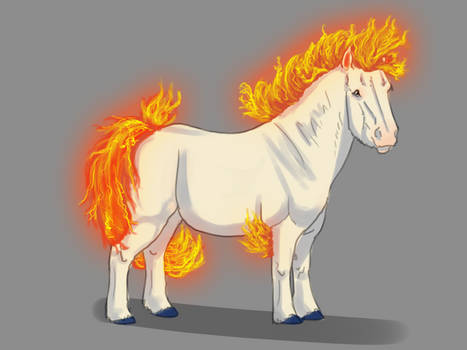 Ponyta