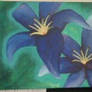 Blue Lilies