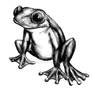 Froggie X3