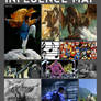 Influence Map