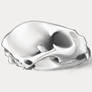 Cat Skull