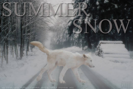 Summer Snow