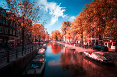 Amsterdam in Red by INVIV0