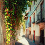 Summer in Granada