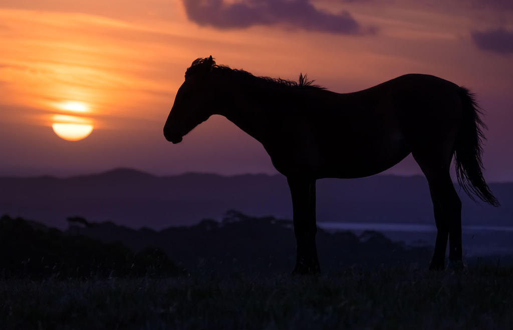 Australian sunset by INVIV0